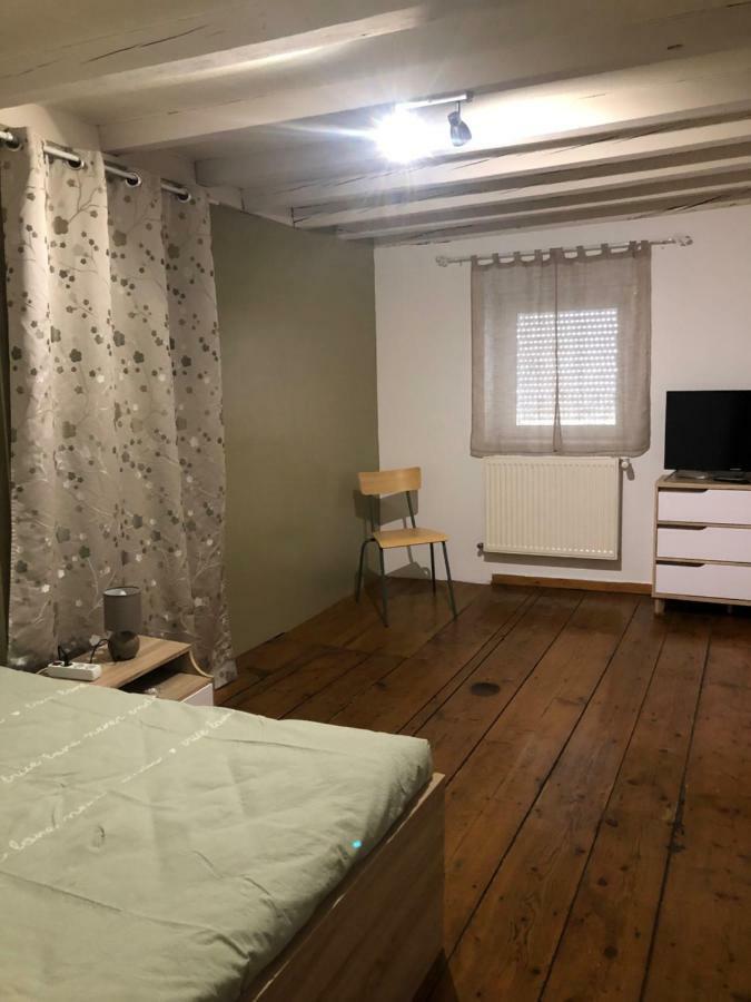 Spacieux Appartement 2/6 Pers 110M² Proche Cnpe Lagnieu Экстерьер фото